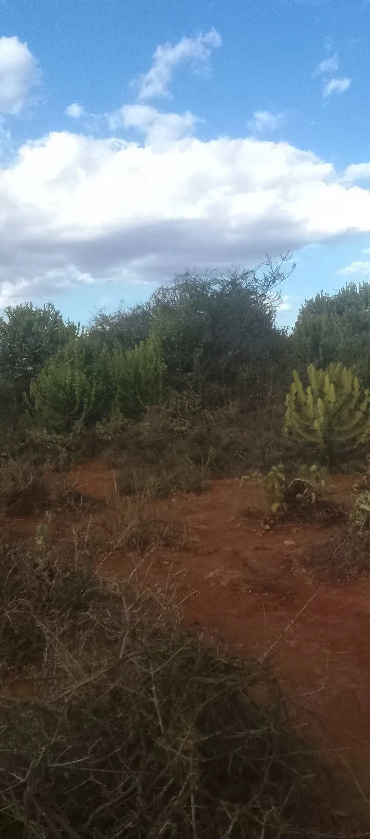 60 acres · Ngari we Ireri, Mbeere North