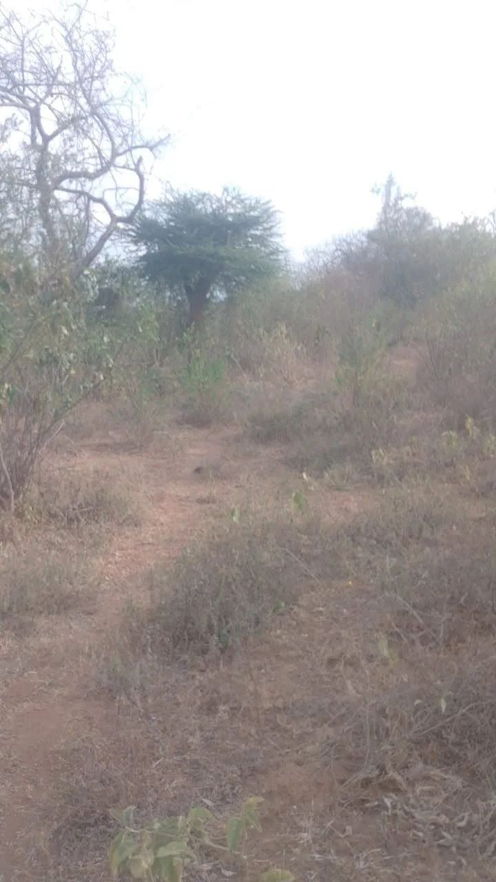 5 acres · Kyua, Yatta