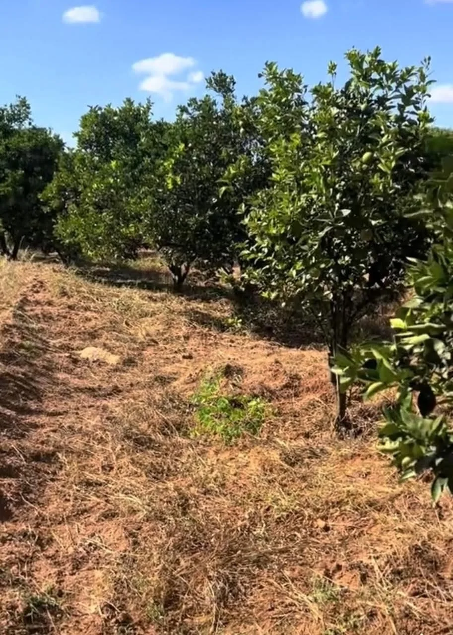 3 acres · Malivani, Makueni