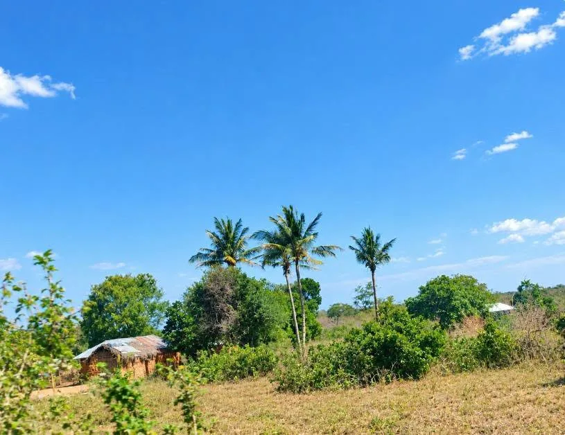 22 acres · Adu–Kamale, Kilifi