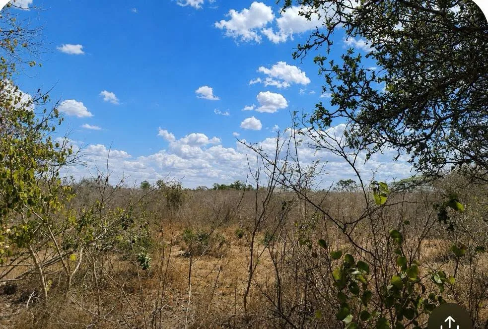 22 acres · Adu–Kamale, Kilifi — photo 3