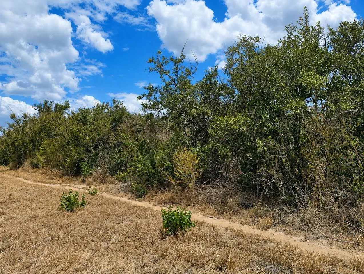 22 acres · Adu–Kamale, Kilifi — photo 4