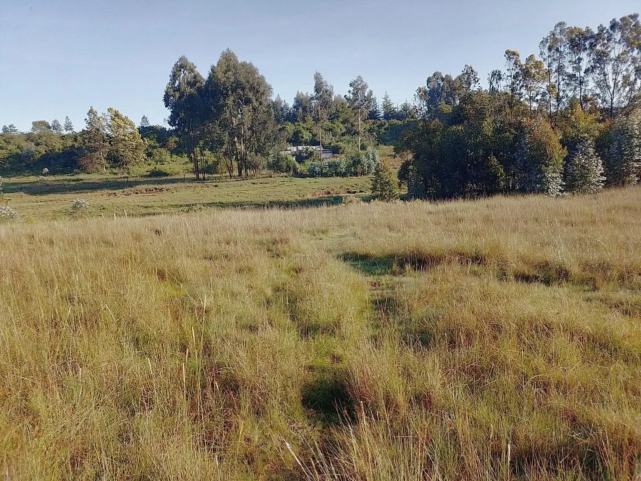 6 acres · Ndemi, Ol Kalou — photo 2