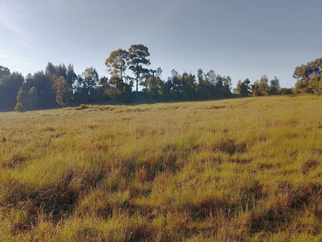 6 acres · Ndemi, Ol Kalou — photo 3
