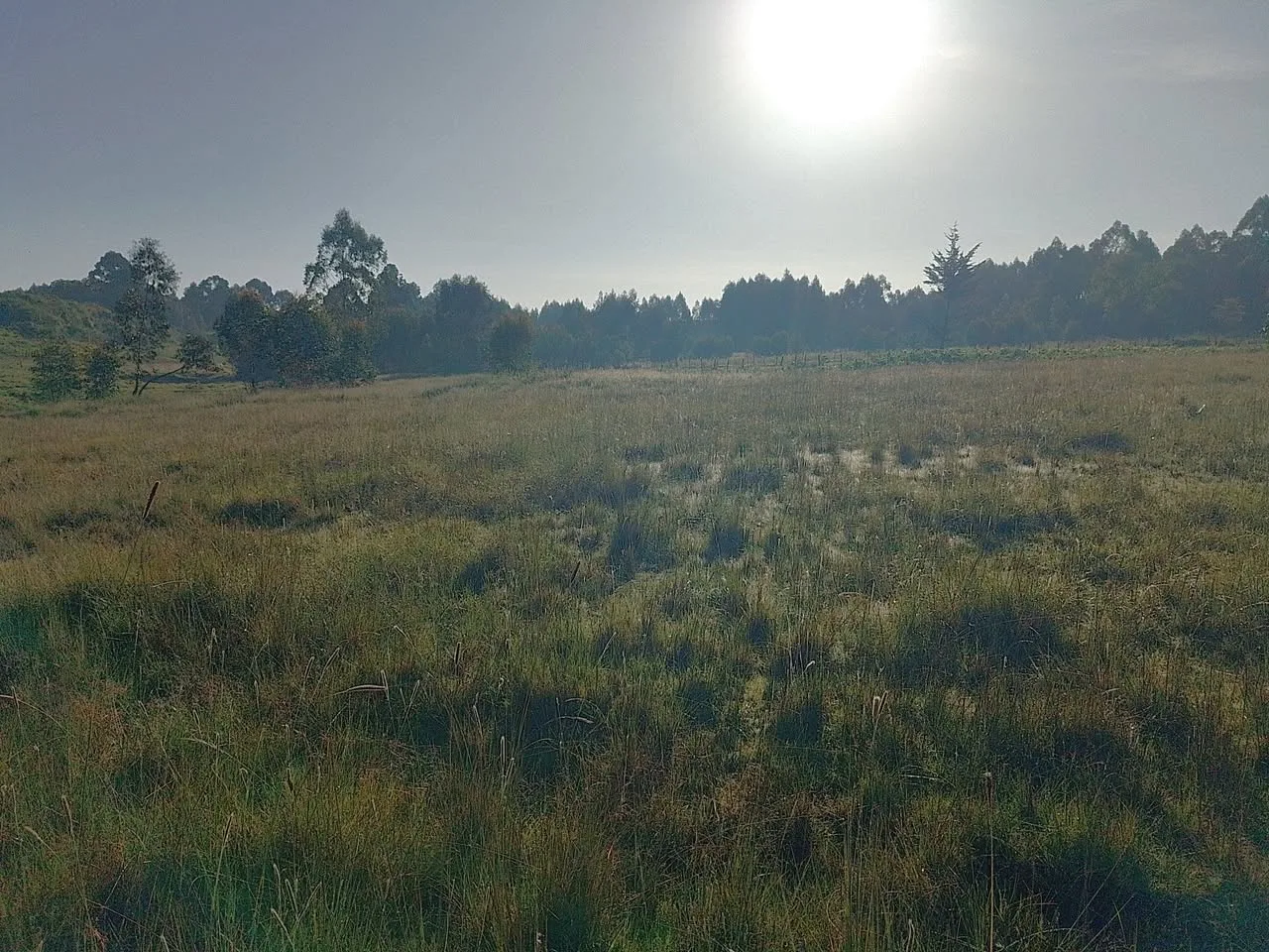 6 acres · Ndemi, Ol Kalou — photo 4