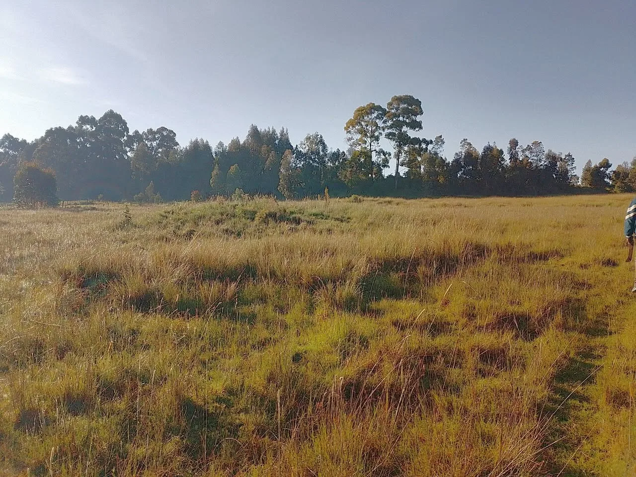 6 acres · Ndemi, Ol Kalou — photo 5
