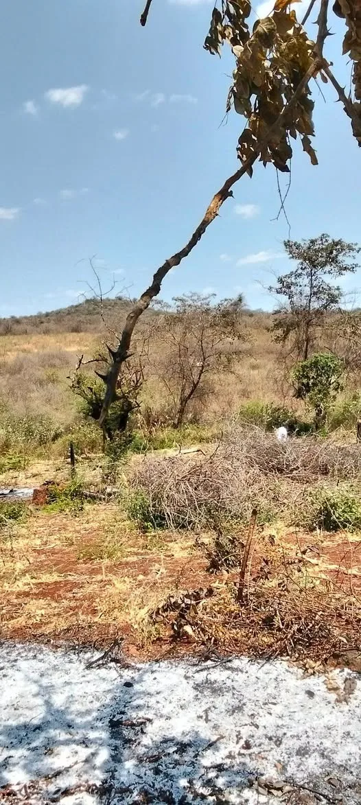 18 acres · Muraru (Kangungi), Embu