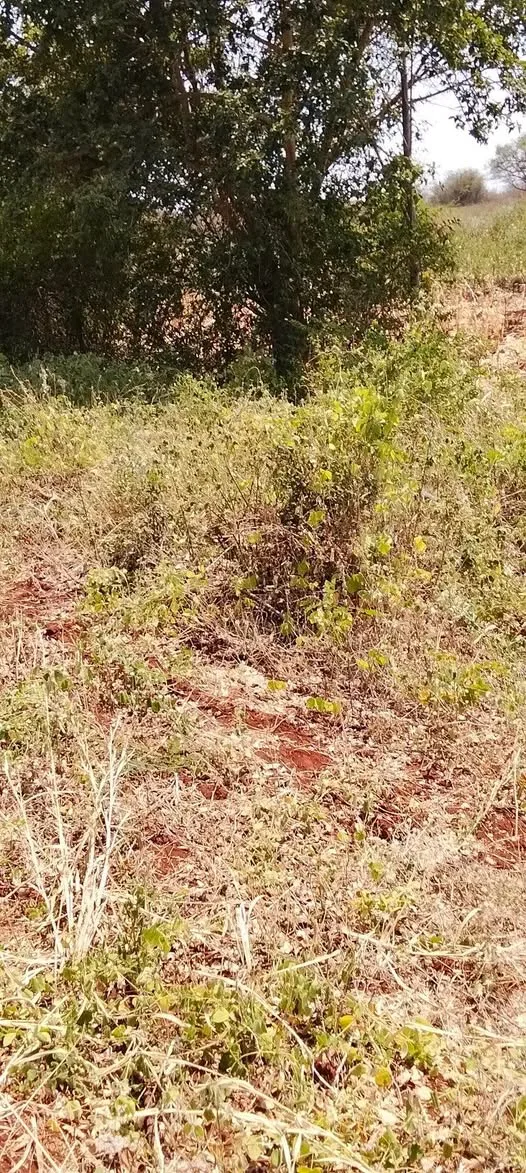 18 acres · Muraru (Kangungi), Embu — photo 2