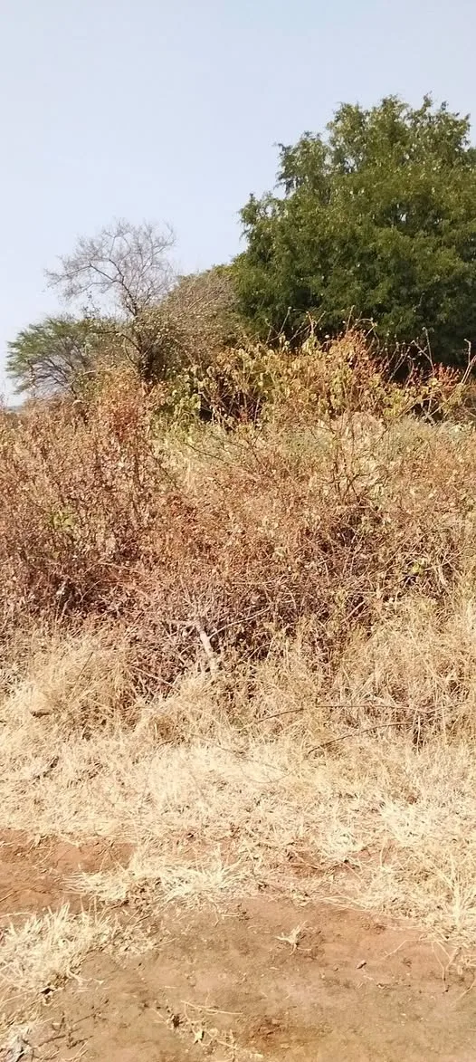 18 acres · Muraru (Kangungi), Embu — photo 4