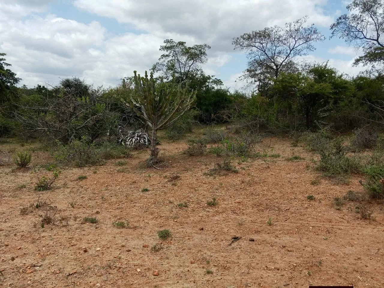 2 acres · karwiro, Embu — photo 2