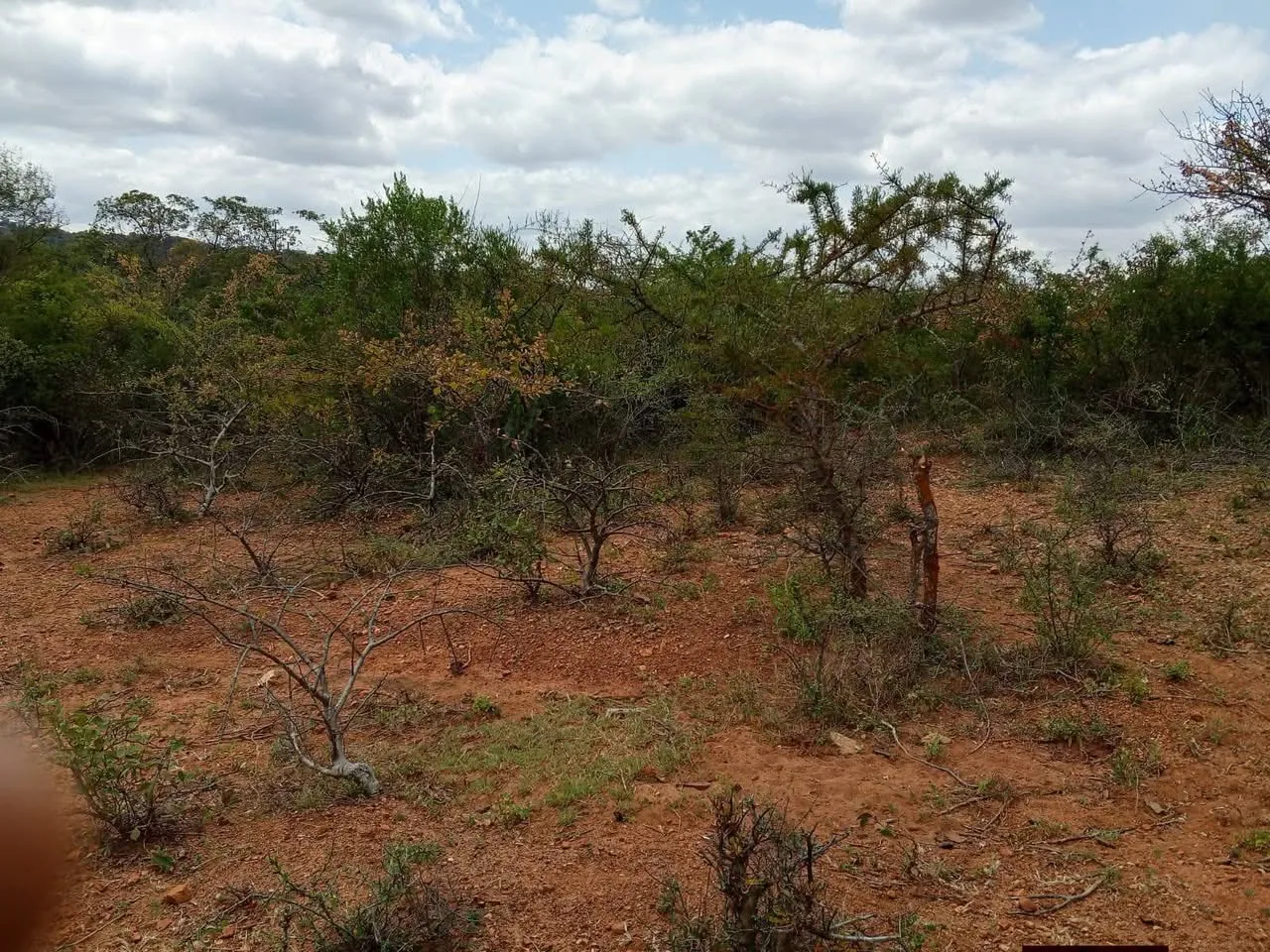 2 acres · karwiro, Embu — photo 3