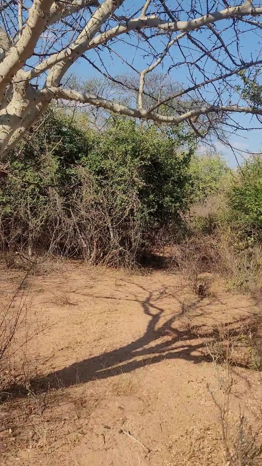 807 acres · katangini ukasi, Mwingi