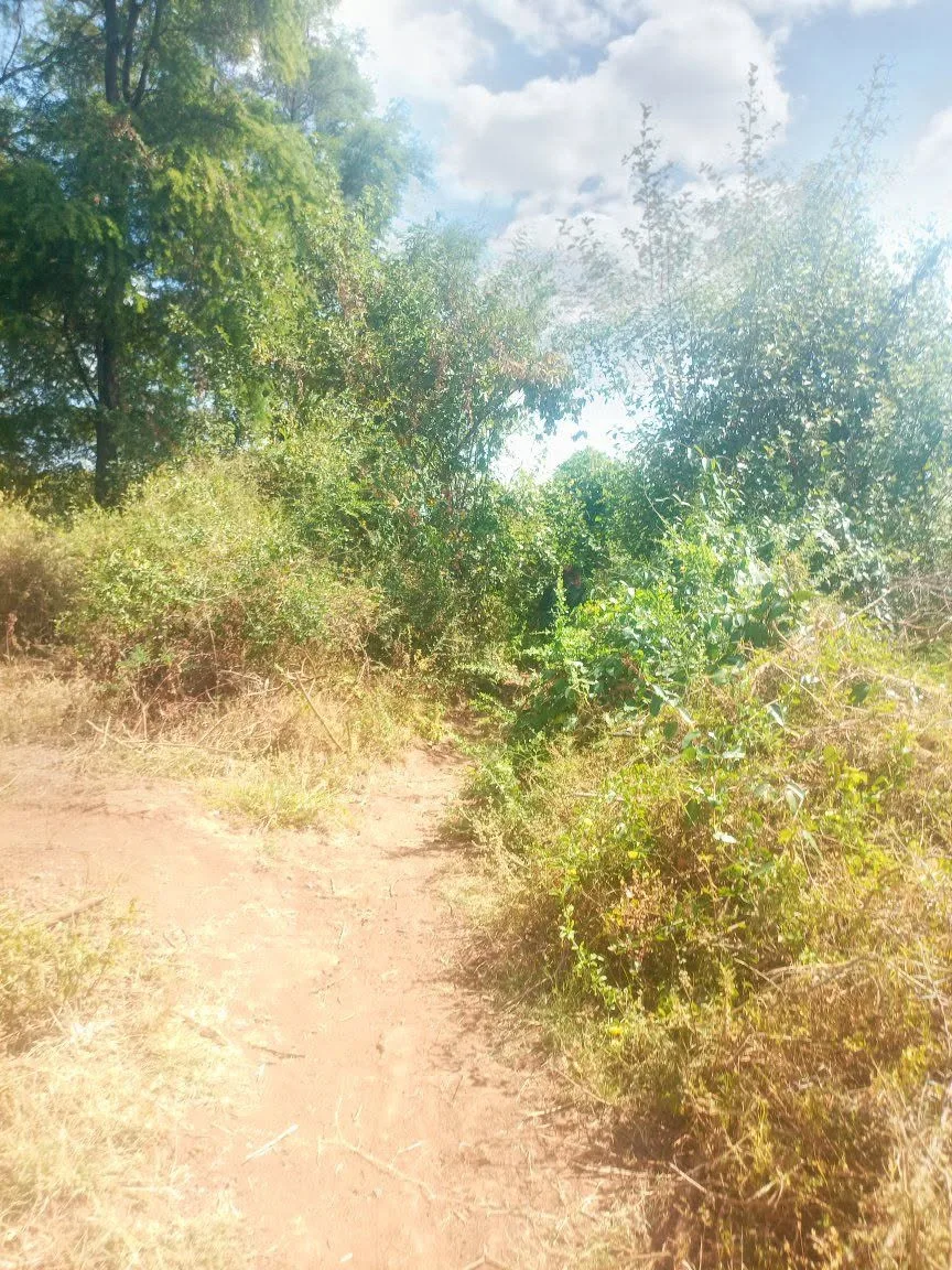 66 acres · Zombe area, Kitui East