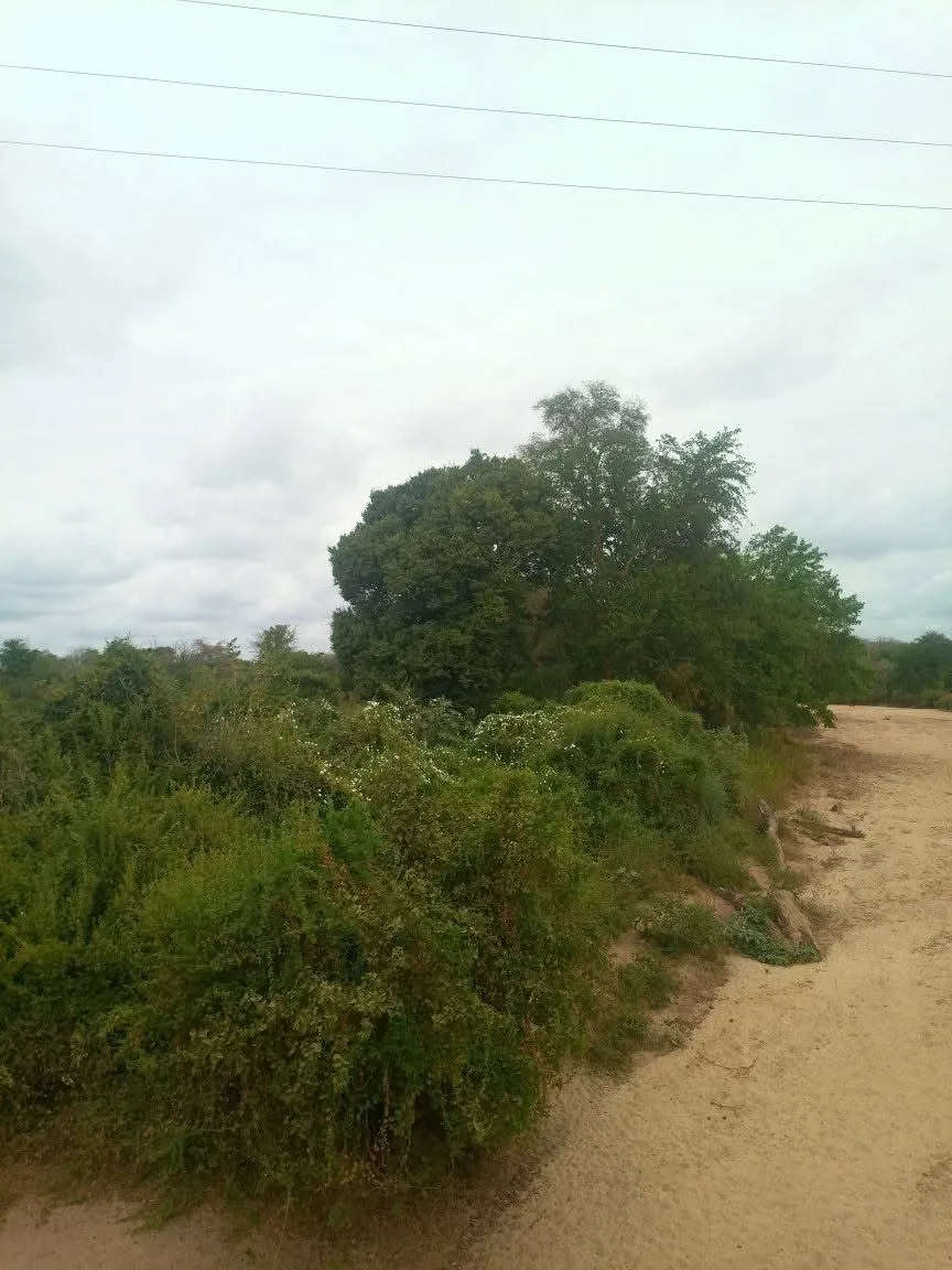 66 acres · Zombe area, Kitui East — photo 2