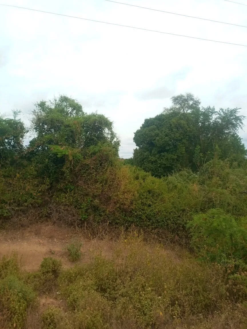 66 acres · Zombe area, Kitui East — photo 3
