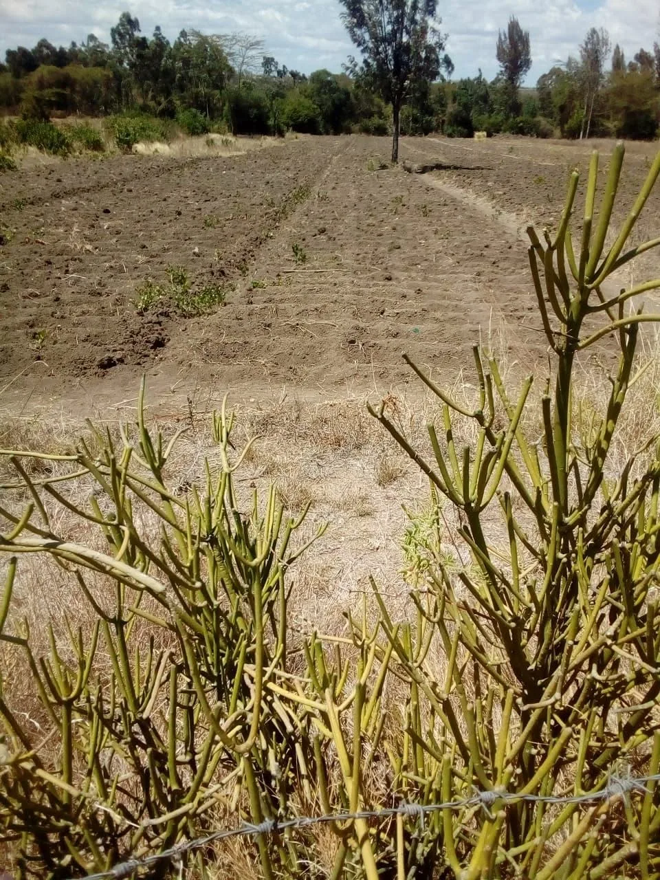3 acres · Matanya, Laikipia