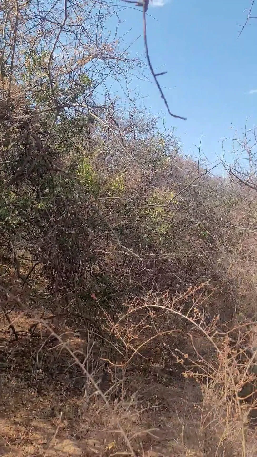 219 acres · Ukasi, Mwingi
