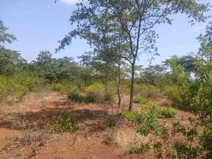 2 acres · Magote, Embu