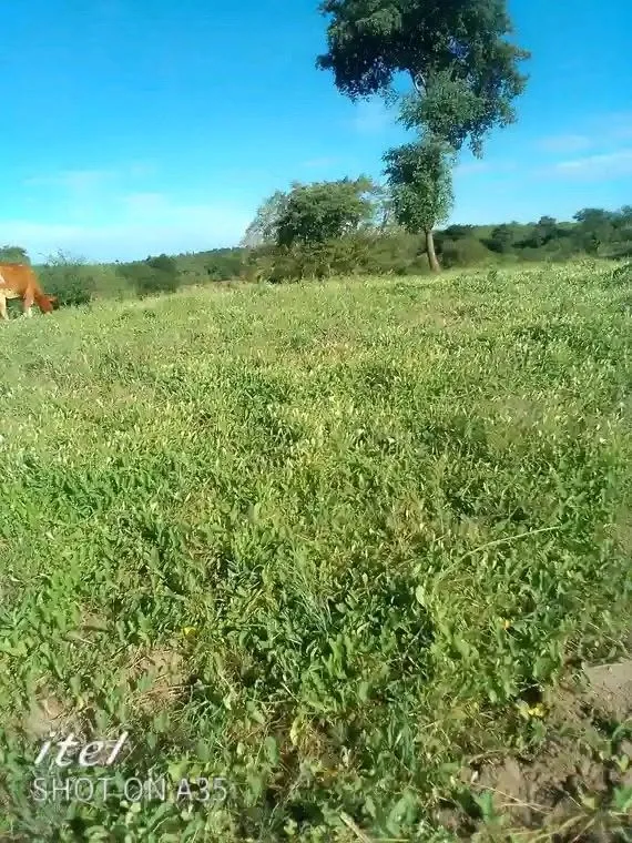 3 acres · Wamunyu, Mwala