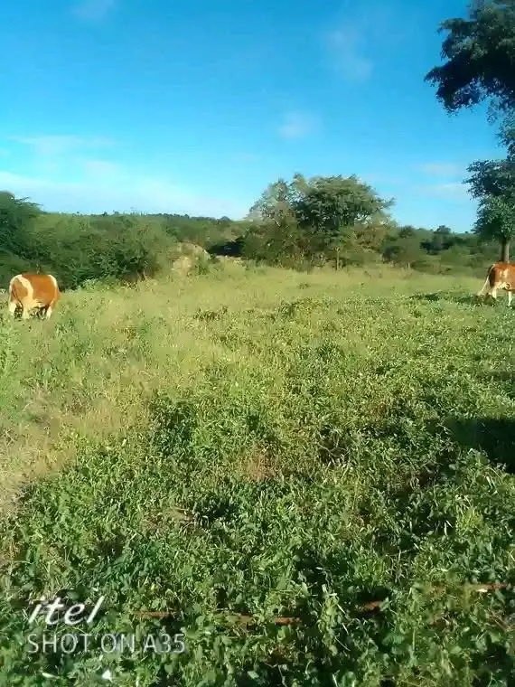3 acres · Wamunyu, Mwala — photo 4