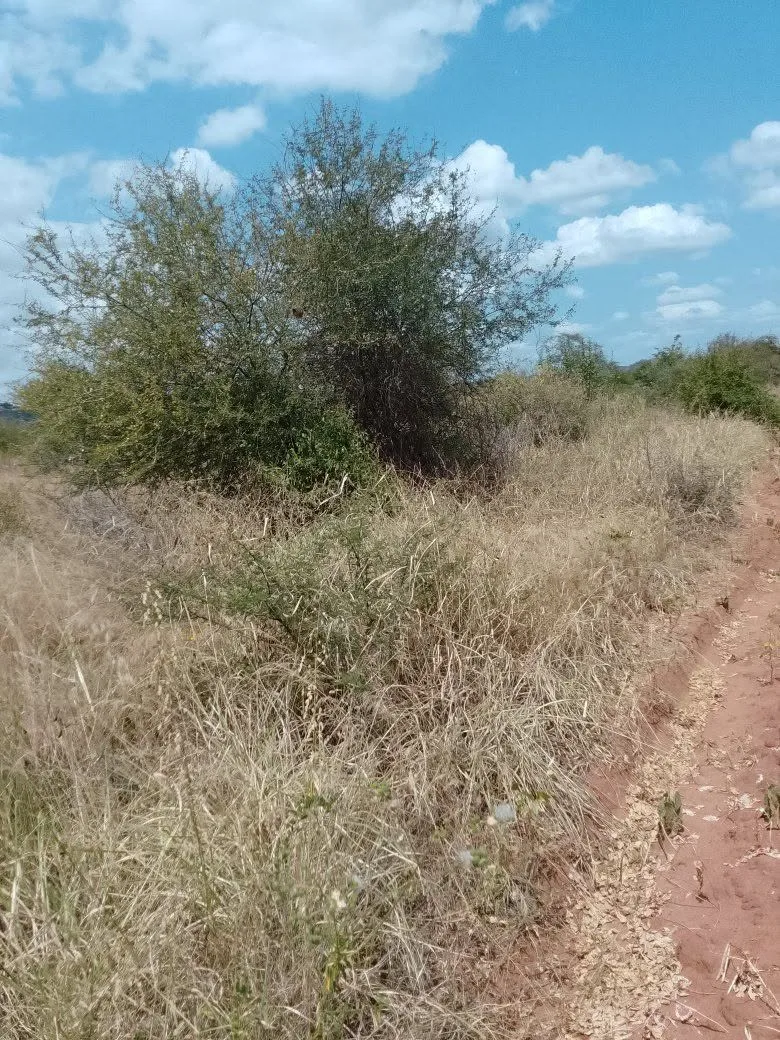 25 acres · Makindu, Makueni — photo 3