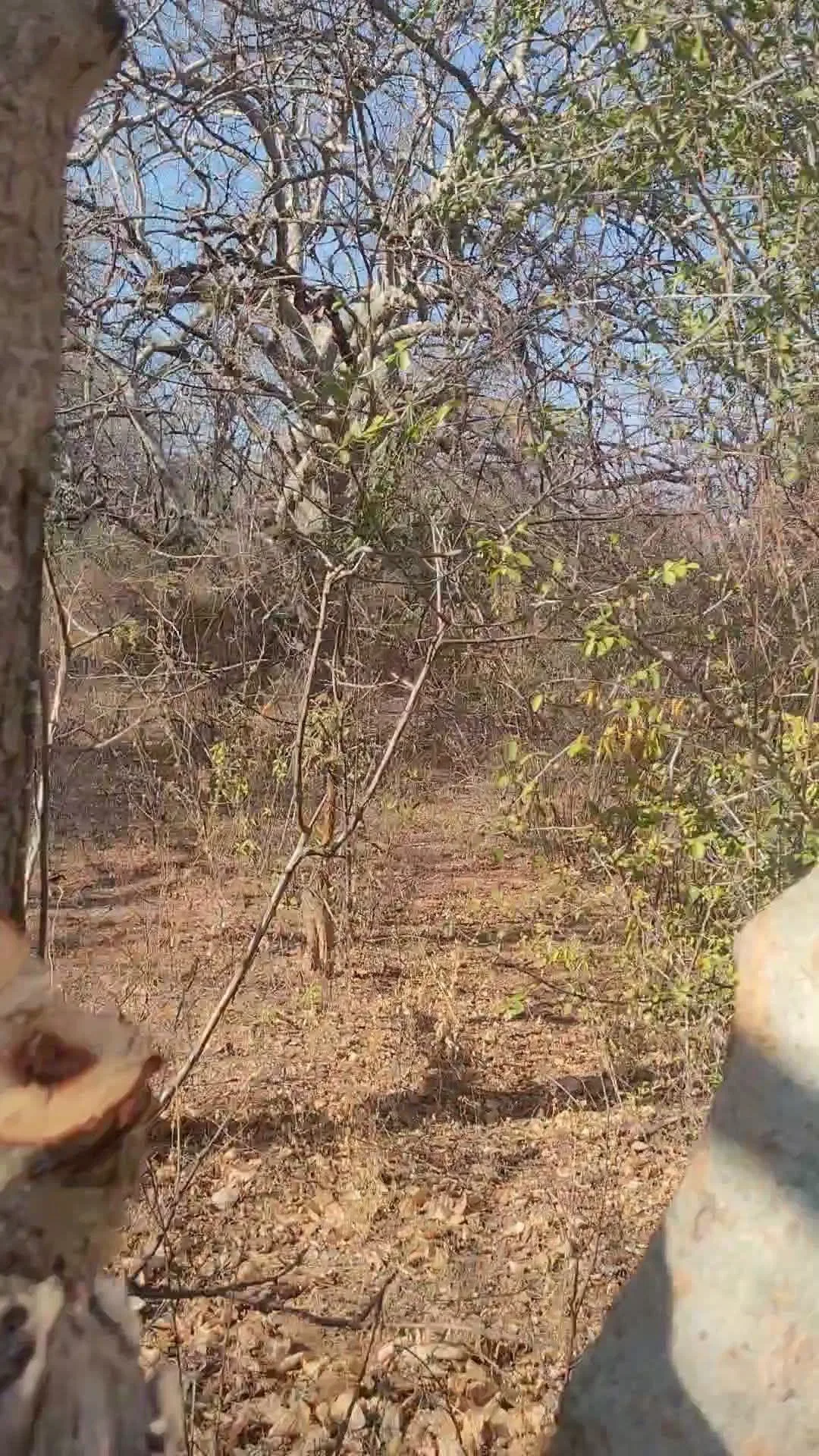 175 acres · Katangini, Mwingi