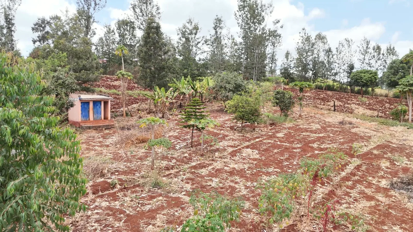 ⅛-acre plots in Kabati town — KSh 2.4 million each — photo 4