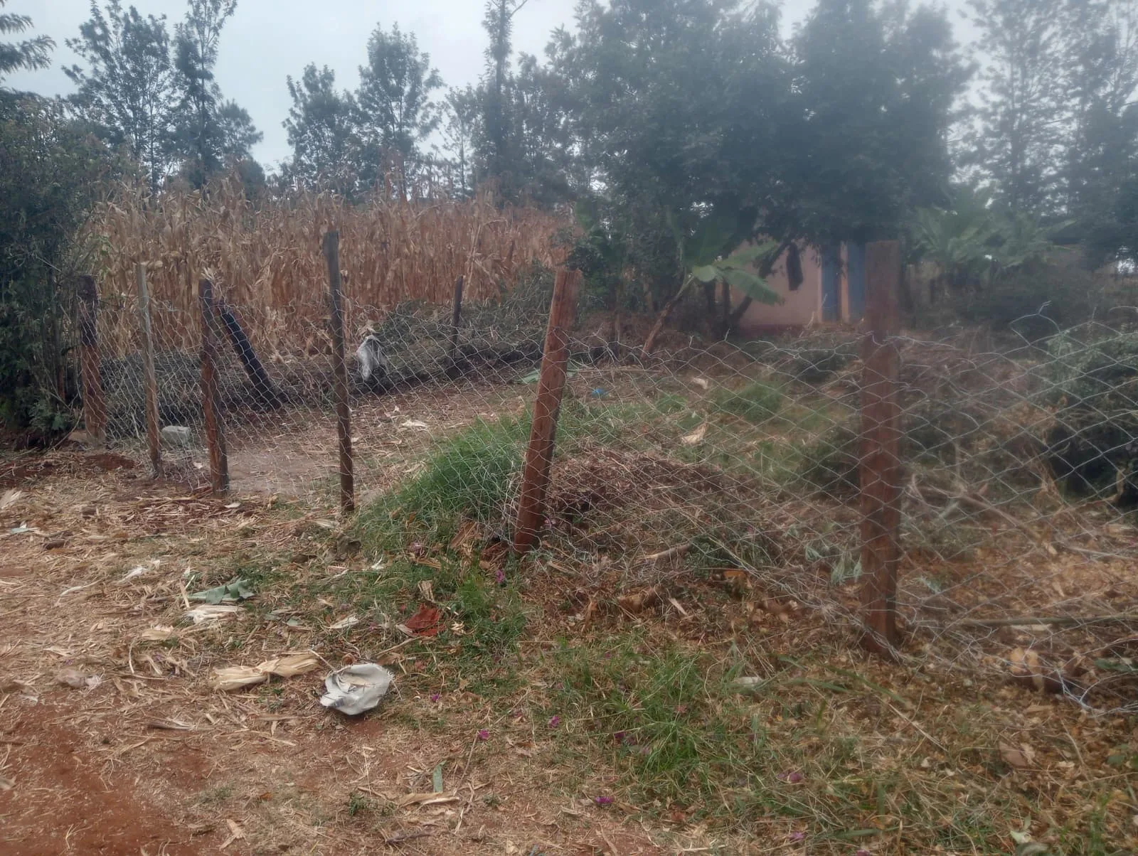 ⅛-acre plots in Kabati town — KSh 2.4 million each — photo 7