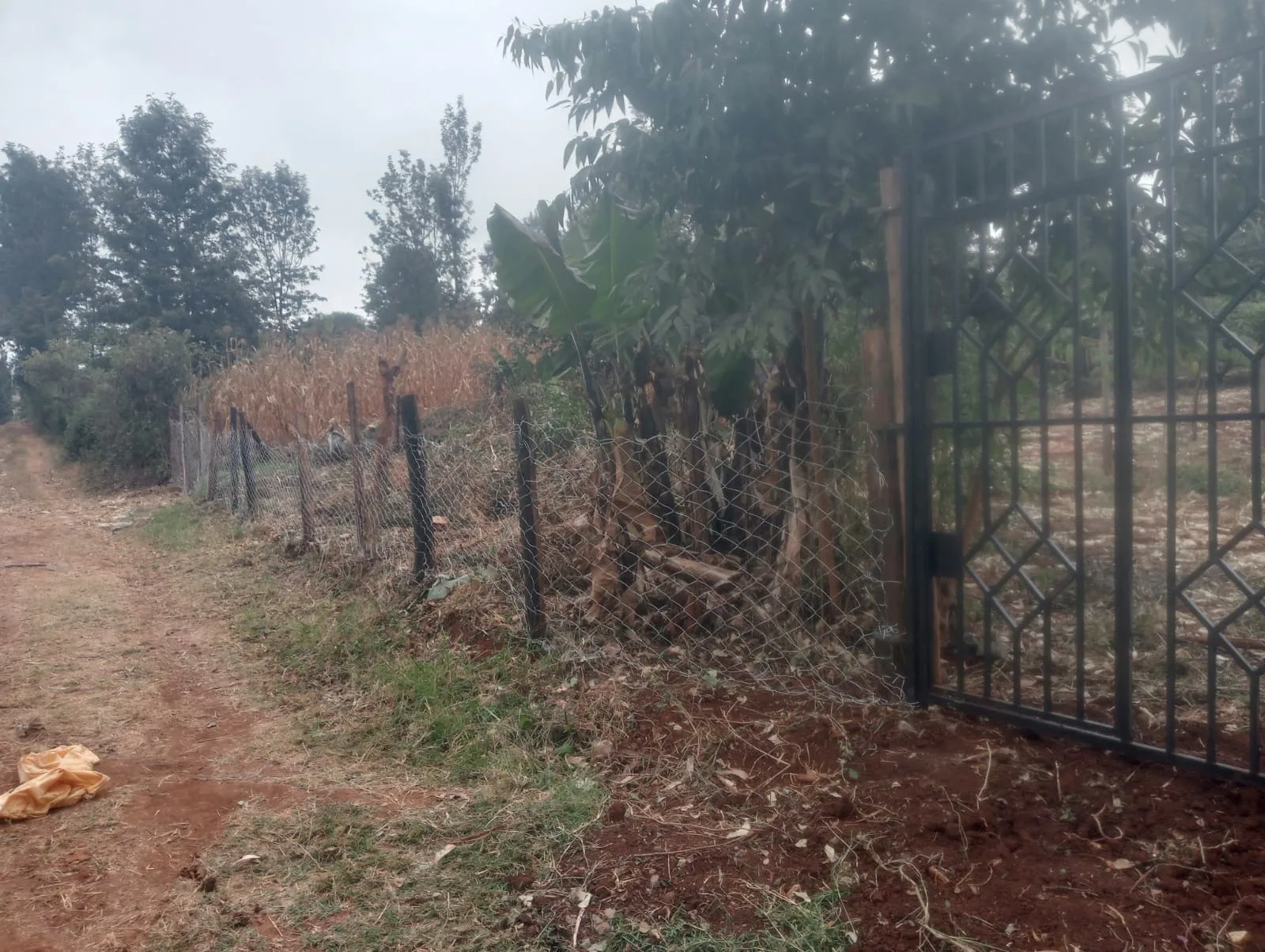 ⅛-acre plots in Kabati town — KSh 2.4 million each — photo 8